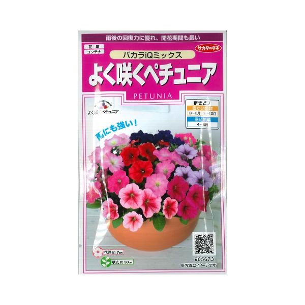 ★雨後の回復力に優れ開花期間も長い