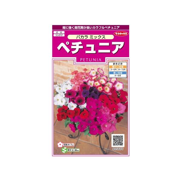 ペチュニアの価格と最安値 おすすめ通販を激安で 花関連