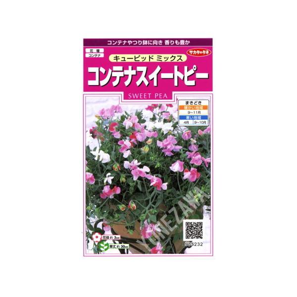 ★コンテナやつり鉢むきの香り豊かな　わい性品種