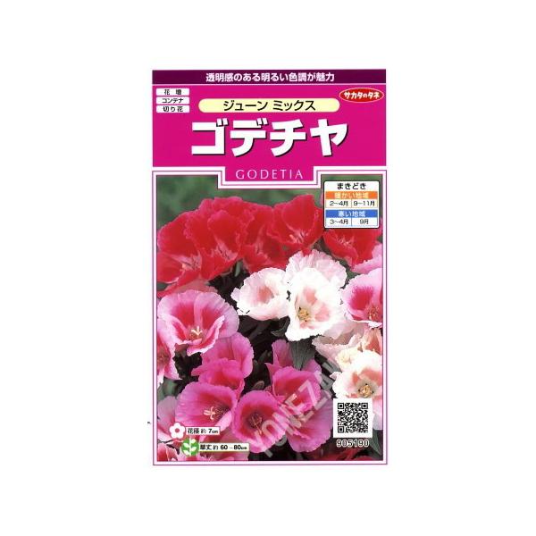 ★透明感のある明るい色調が魅力