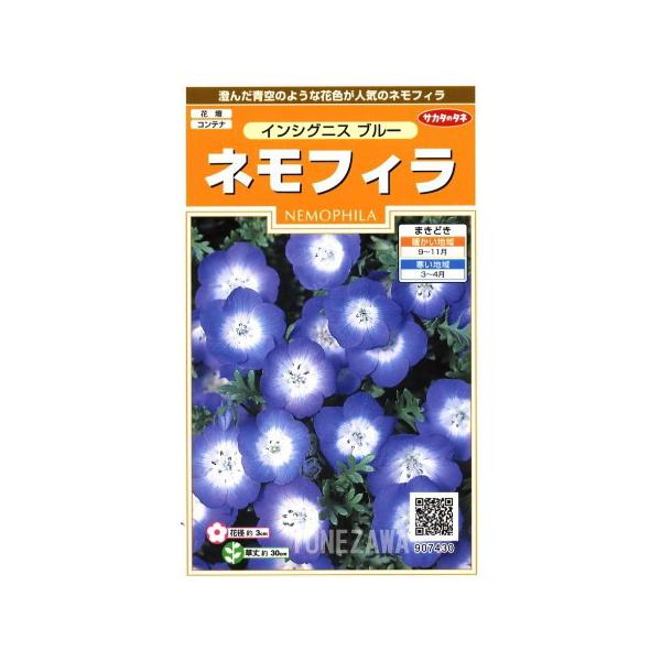 【ネモフィラ】インシグニスブルー【サカタのタネ】（0.5ml）【耐寒性一年草】[秋まき]907430