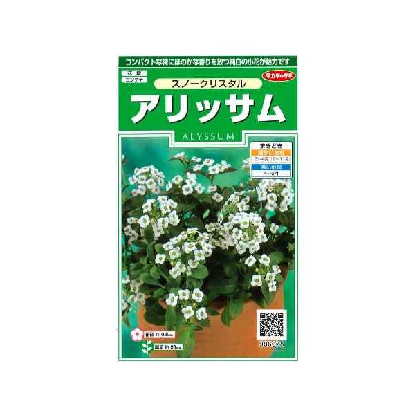 株が大きく、一面が純白の花に包まれます