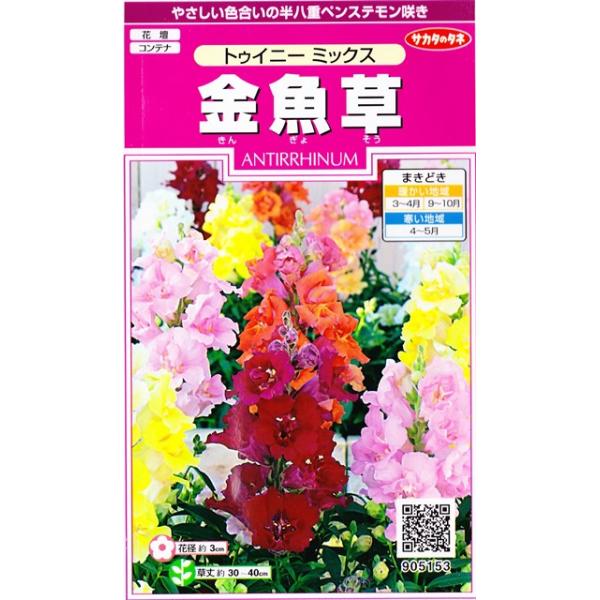 ★やさしい色合いの半八重ペンステモン咲きでゴージャス！