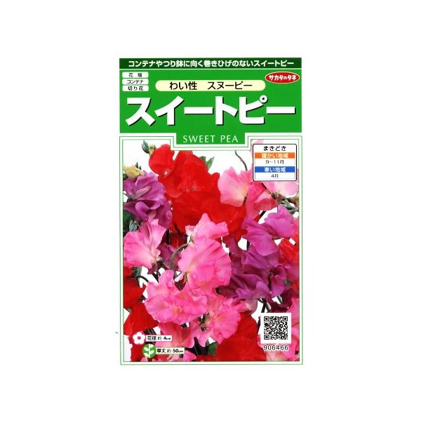 スイートピー わい性スヌーピー サカタのタネ 2ml 耐寒性一年草 秋まき Buyee Buyee Japanese Proxy Service Buy From Japan Bot Online