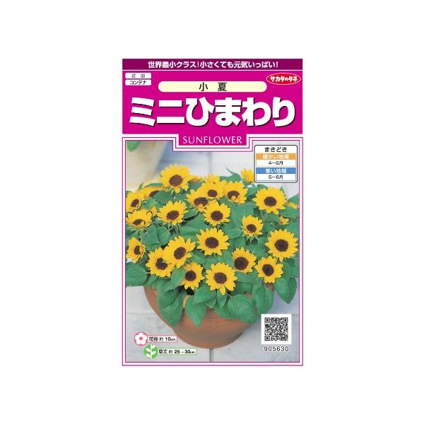 ひまわり他の方購入しないでくださいm(_ _)m f755de7eacfb1d6f9f8af771baccf8