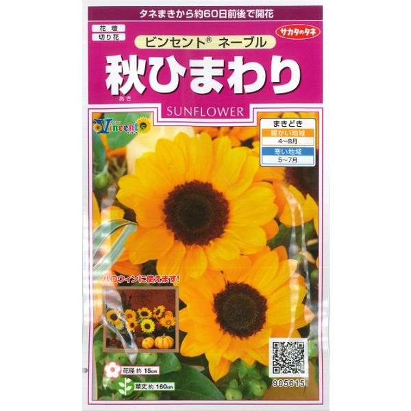 yonezawaengei_041032nable