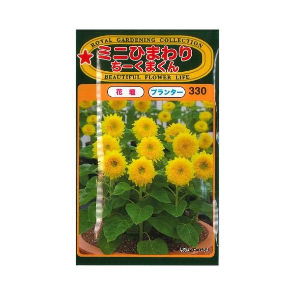 【ミニひまわりの種】ちーくまくん（トーホク）3ml　ヒマワリ