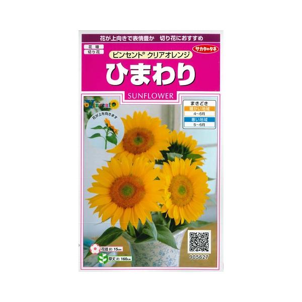 サカタのタネ（サカタノタネ） 【ヒマワリの種】ビンセントクリア