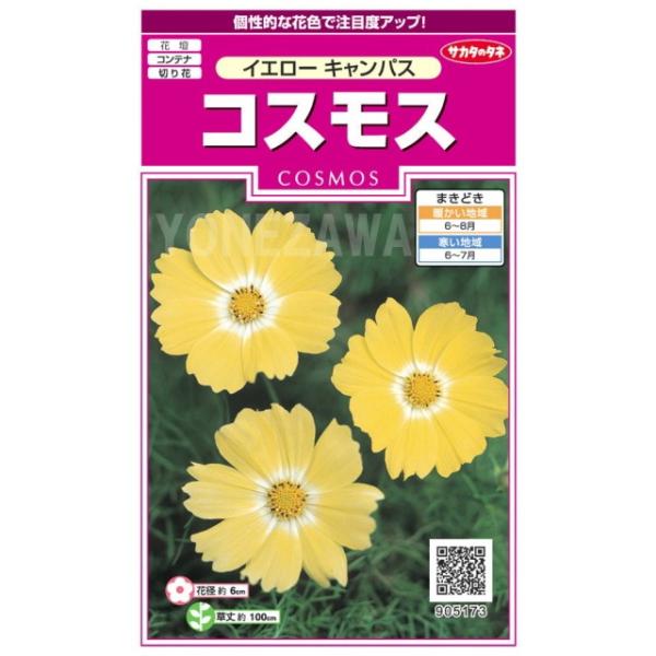 ★個性的な花色で注目度アップ！
