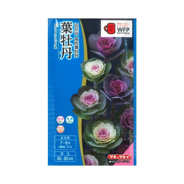 yonezawaengei_041034finemix