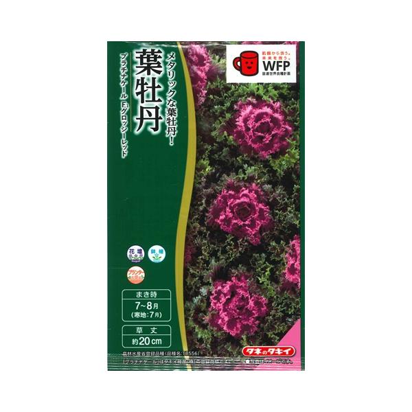 yonezawaengei_041034glossyred