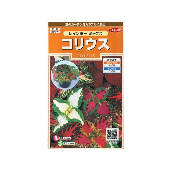★夏のガーデンをカラフルに演出