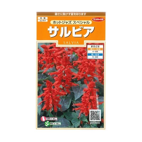 ★暑さに負けない夏花壇の代表種