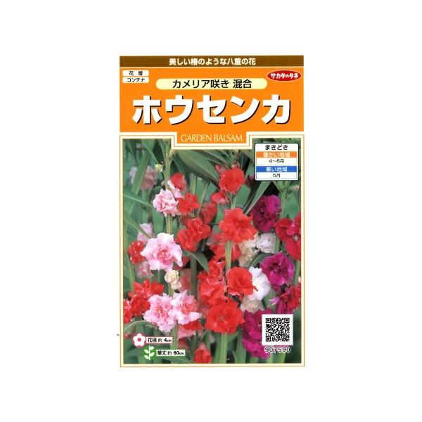 ★美しい椿のような八重の花