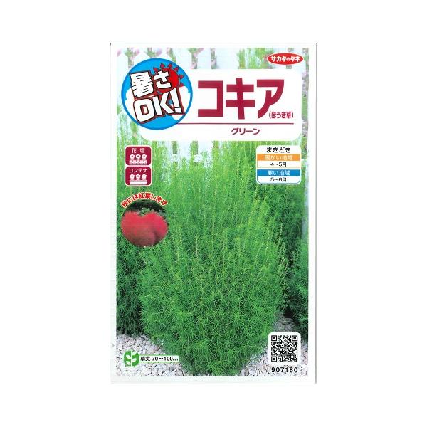 ★夏は明るい緑葉〜秋は紅葉を楽しめます