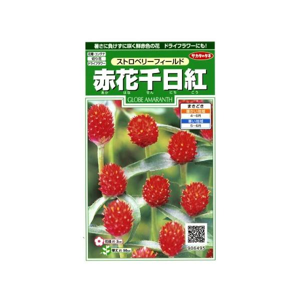 ★暑さに負けずに咲く鮮赤色。ドライフラワーにも