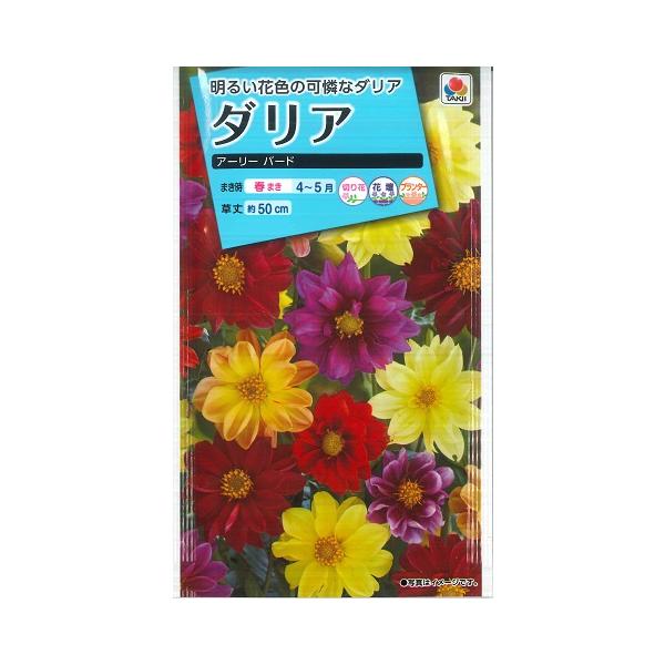 【ダリア】アーリーバード【タキイ種苗】2.5ml[春まき]