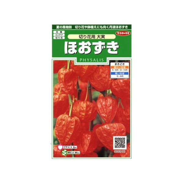 ほおずき 切り花用大実 サカタのタネ 0 5ml 多年草 春まき 秋まき hozuki Hana Uta 米沢園芸 Yahoo 店 通販 Yahoo ショッピング