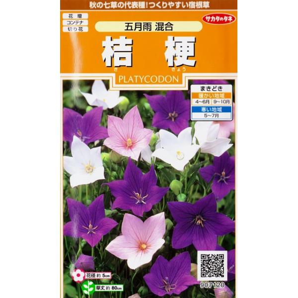 ★秋の七草の代表種！つくりやすい宿根草