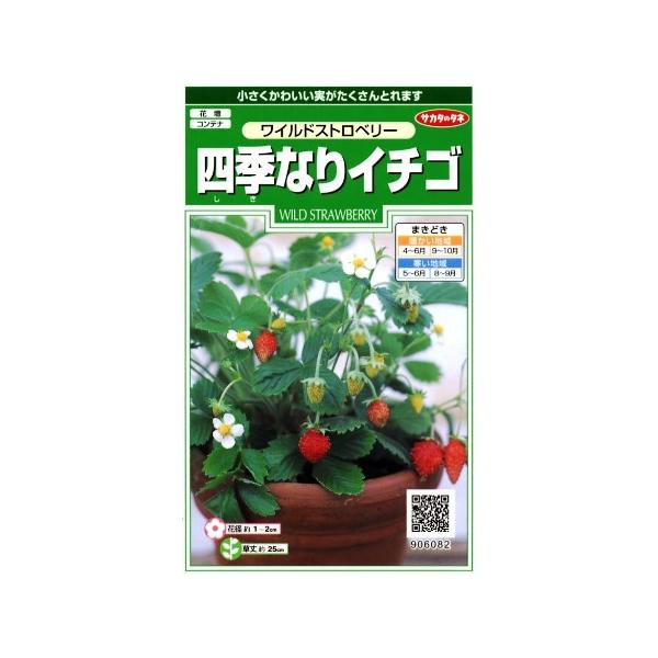 ★小さくかわいい実がたくさんとれます