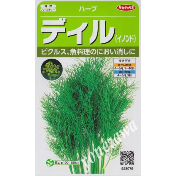 ハーブの種 ディル イノンド サカタのタネ 4 9ml 耐寒性一年草 春まき 秋まき dill Hana Uta 米沢園芸 Yahoo 店 通販 Yahoo ショッピング