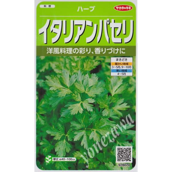 他サイト： 【ハーブの種】イタリアンパセリ【サカタのタネ】（1.8ml）【耐寒性一〜ニ年草】[春まき][秋まき]928070の商品画像