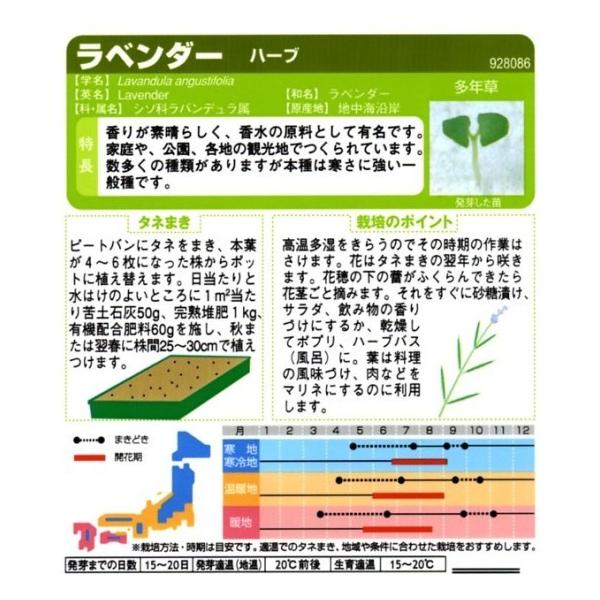 ハーブの種 ラベンダー サカタのタネ 0 1ml 多年草 春まき 秋まき Buyee Buyee Japanese Proxy Service Buy From Japan Bot Online