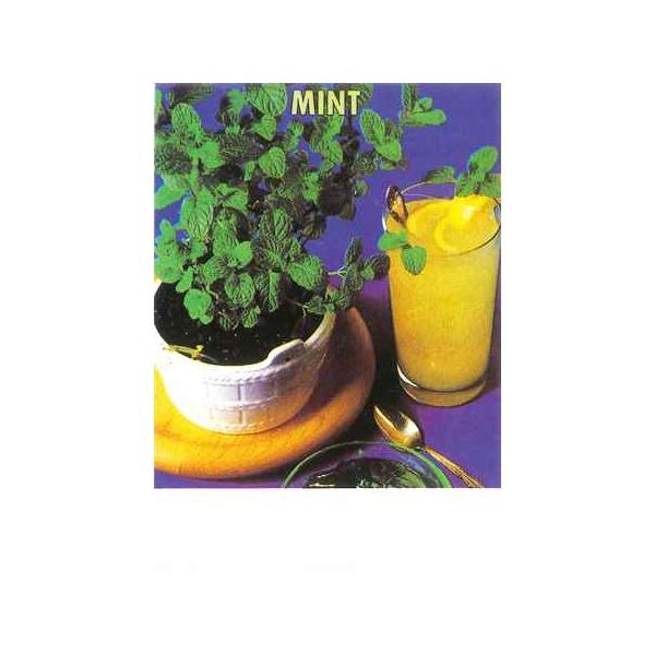 ★ペパーミントより柔らかい香り