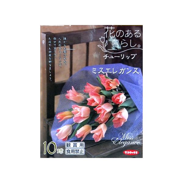 秋植え球根 チューリップ球根 ミスエレガンス １０球詰 サカタのタネ 宅配便発送 Buyee Buyee 提供一站式最全面最专业现地yahoo Japan拍卖代bid代拍代购服务 Bot Online