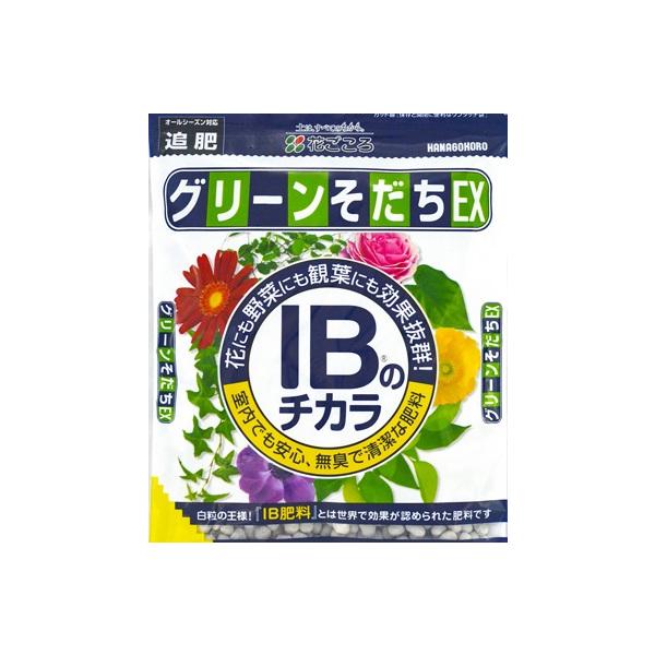 メール便送料無料【花ごころ】グリーン育ちEX　粒状500g【IB肥料】