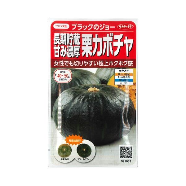 長期保存甘み濃厚栗カボチャ