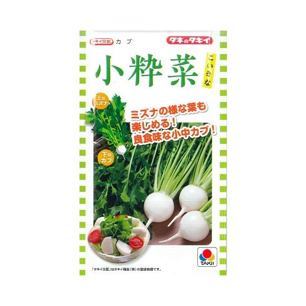 ミズナの様な葉も楽しめる！良食味な小中カブ！