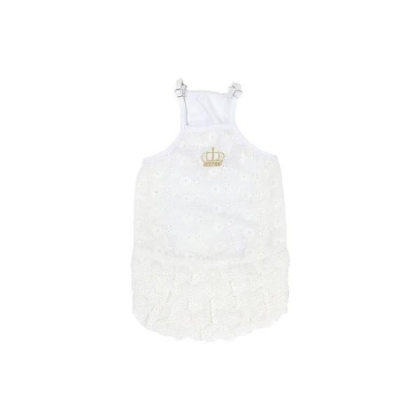 yCinofilozhbOEFA [XgL~\[ zCg LTCY `mtB IV  ~j`A_bNX {XgeA |Cgp