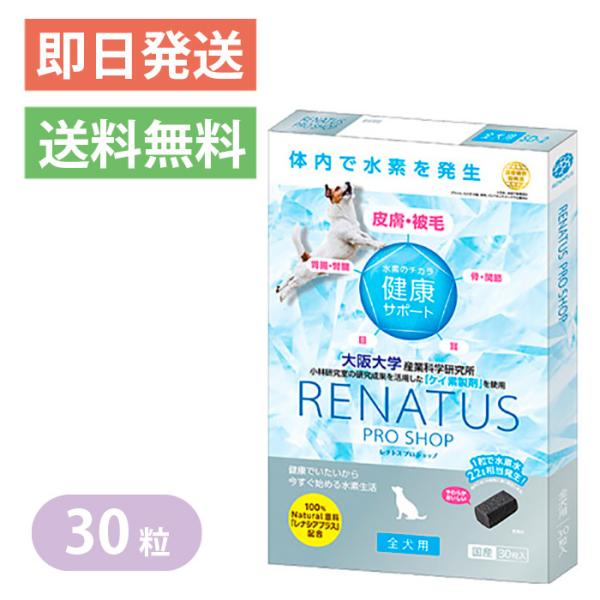 yoriai-dogs_4582535530031