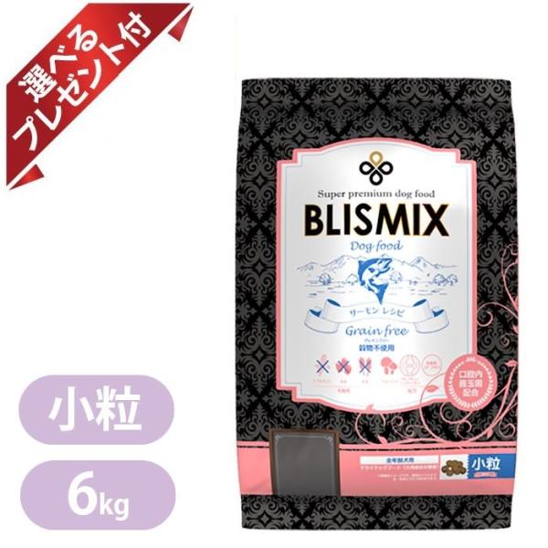 ケイエムテイ ブリスミックス グレインフリー サーモン 小粒 6kg