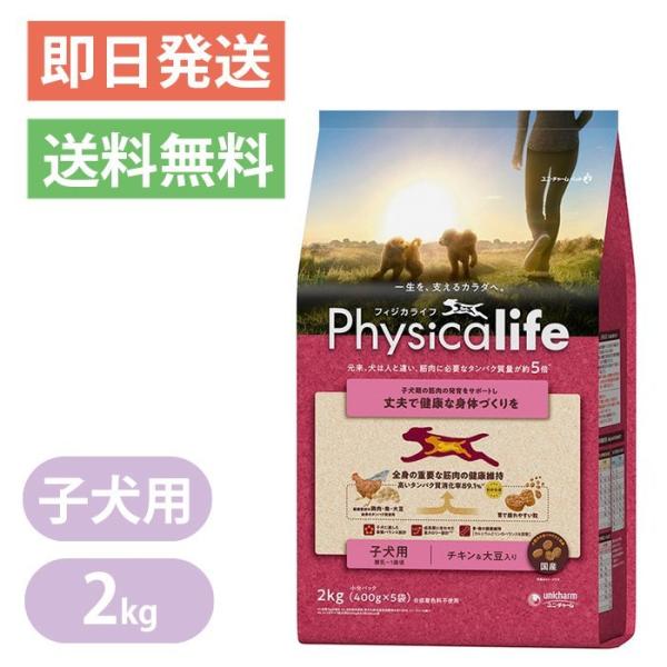 tBWJCt qp `L哤 2kg hbOt[h Physicalife ps[ j`[ Y Iׂv[gt |Cgp