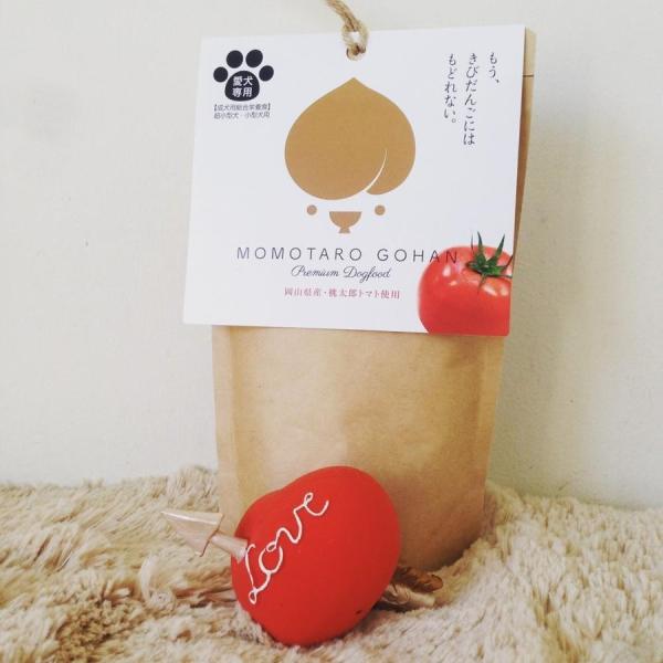 Y͂  900g  Ajt@~[ RYYg}gz |Cgp