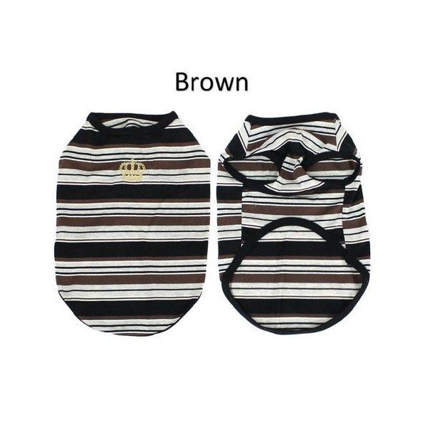 yCinofilozhbOEFA }`{[_[TVc Brown  STCY ԉhJE100%YEE |Cgp