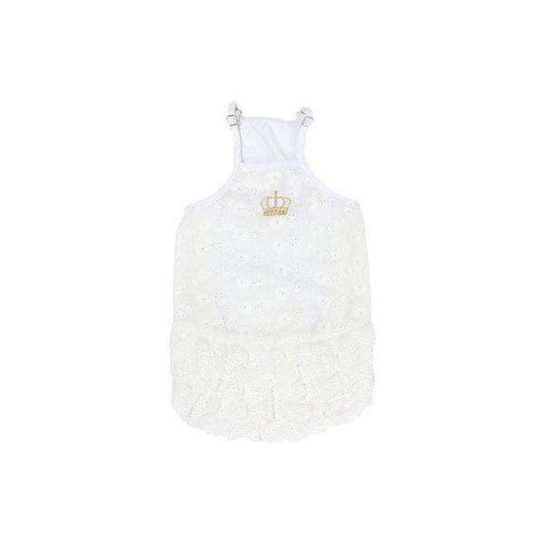 yCinofilozhbOEFA [XgL~\[ zCg LTCY `mtB IV  ~j`A_bNX {XgeA |Cgp