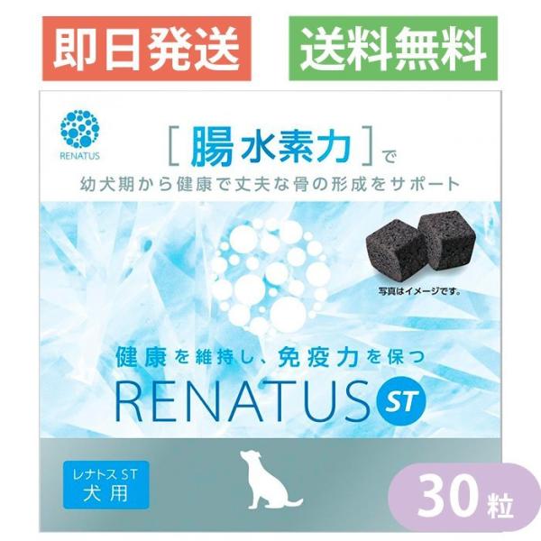 RENATUS(レナトス)ST 犬用サプリメント 5袋セット 【公式通販】