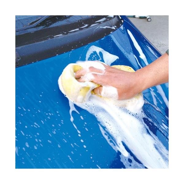 yoro-store_136011-0001_1