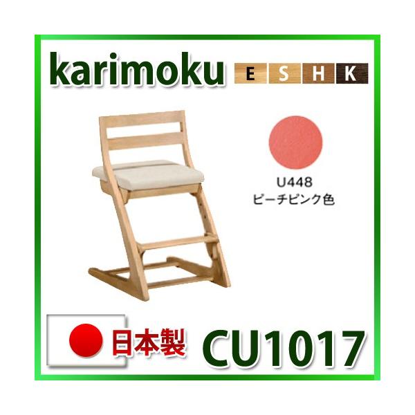 JN fXN`FA CU1017 s[`sNF {  wKƋ