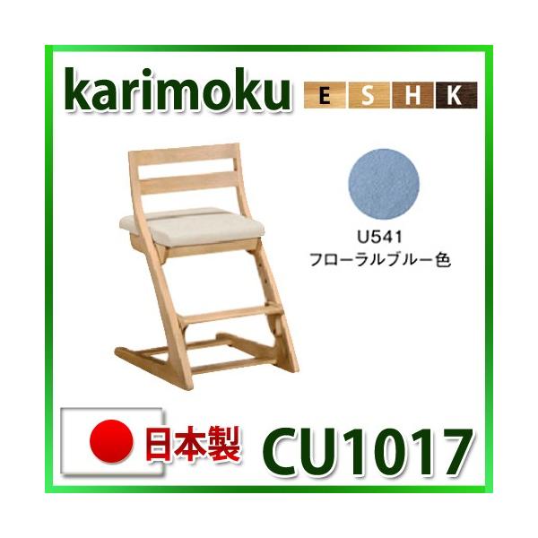 JN fXN`FA CU1017 t[u[F {  wKƋ