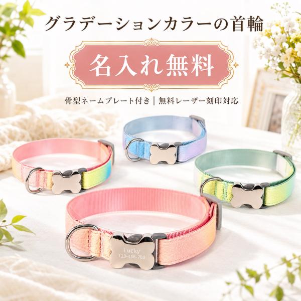 【名入れ無料】 犬 首輪  グラデーション おしゃれ 骨型 ネームプレート 名前入り 犬用 猫用 ペット レーザー刻印 電話番号