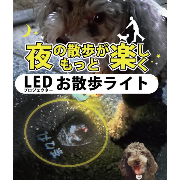 新発売セール】名入れ可能 犬 首輪 光る 光る首輪 プロジェクター