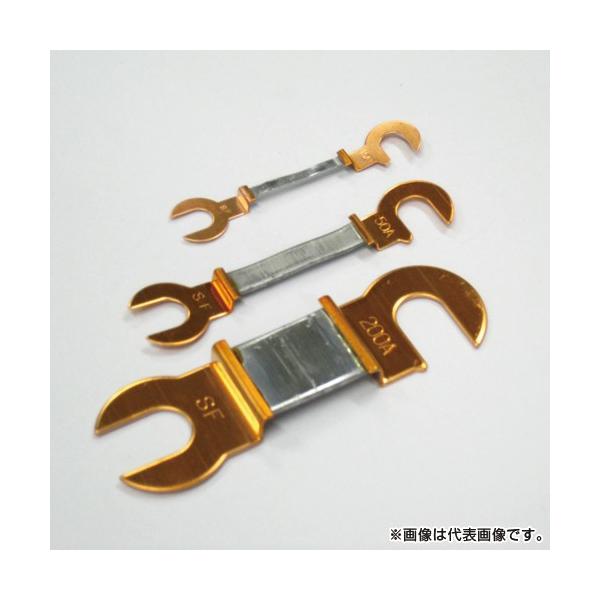 X^[q[Y 9^ 500A AC250V 1 PF ߕtq[Y 500A CSF 75mm STAFUSE (12101425)@