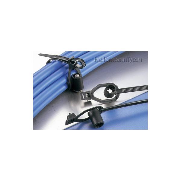 w}^Cg RT50RS5 X^bh{g}Eg^C  W 50{ zŒp (42201589)