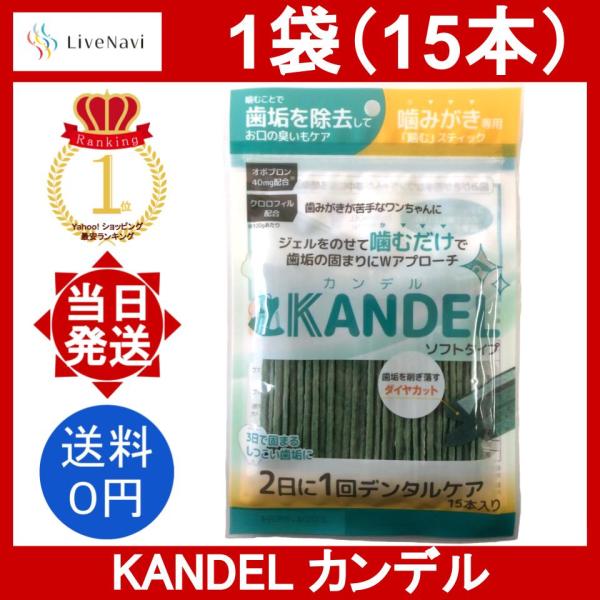 Dr.WANDEL ＋ KANDEL 2個セット 公式サイト】しっぽラボ l Dr.WANDELは「歯垢を絡め落とし歯石を