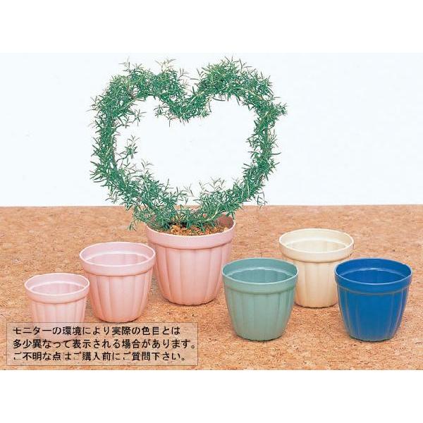 ローリーポット５号 2個セット ポット 鉢 よろずや倉庫 通販 Yahoo ショッピング