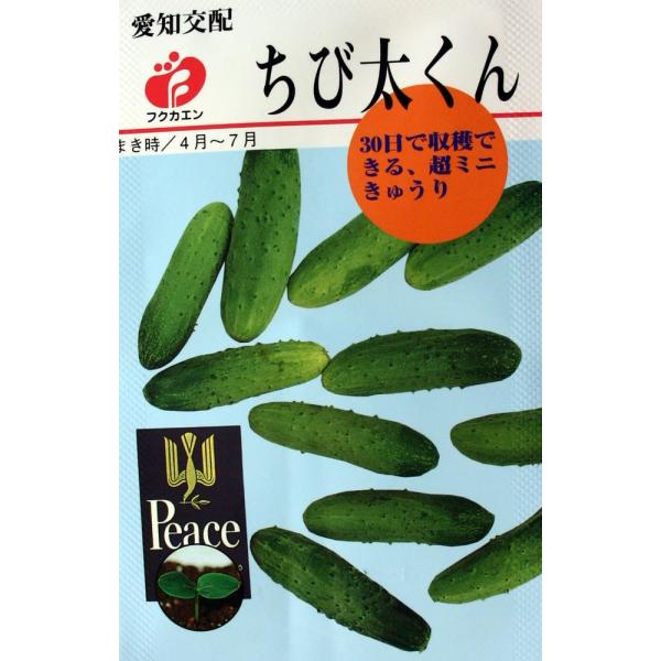 フクカエン 愛知交配 ちび太くん ミニきゅうりのの種タネ よろずや倉庫 通販 Yahoo ショッピング